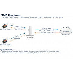 OLG02 Outdoor Dual Channels LoRa IoT Gateway