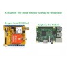 LoRaWAN "The Things Network" Gateway for Windows IoT Core