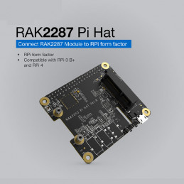 RAK2287 /RAK5146 Pi HAT...