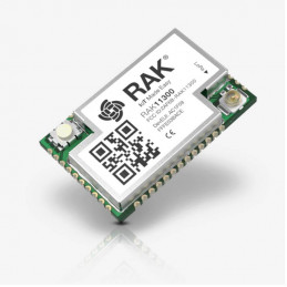 RAK11300 PI RP2040 chip and...